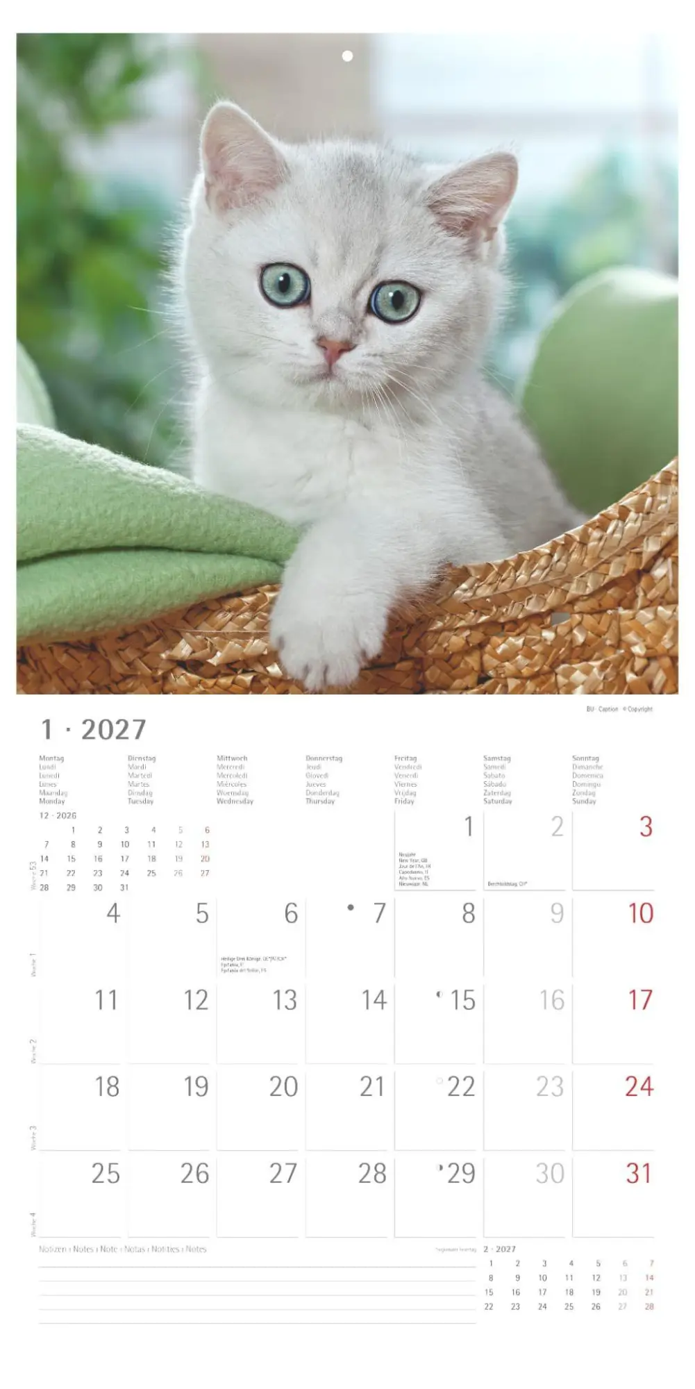 Bild: 4069095018532 | Katzenbabys 2027 | Neumann Verlage GmbH &amp; Co KG | Kalender | 14 S.