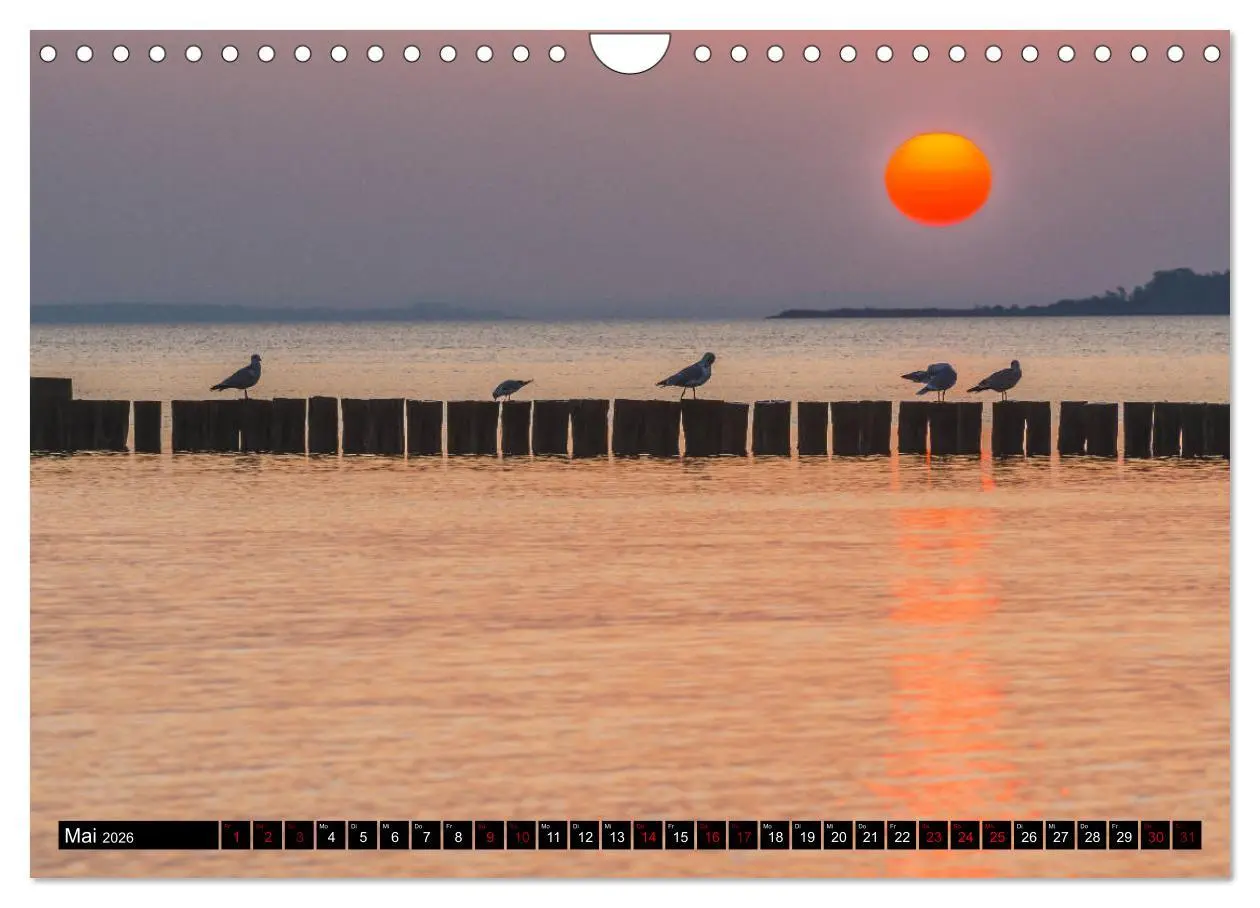 Bild: 9783457838532 | Ostsee - Boltenhagen (Wandkalender 2026 DIN A4 quer), CALVENDO...