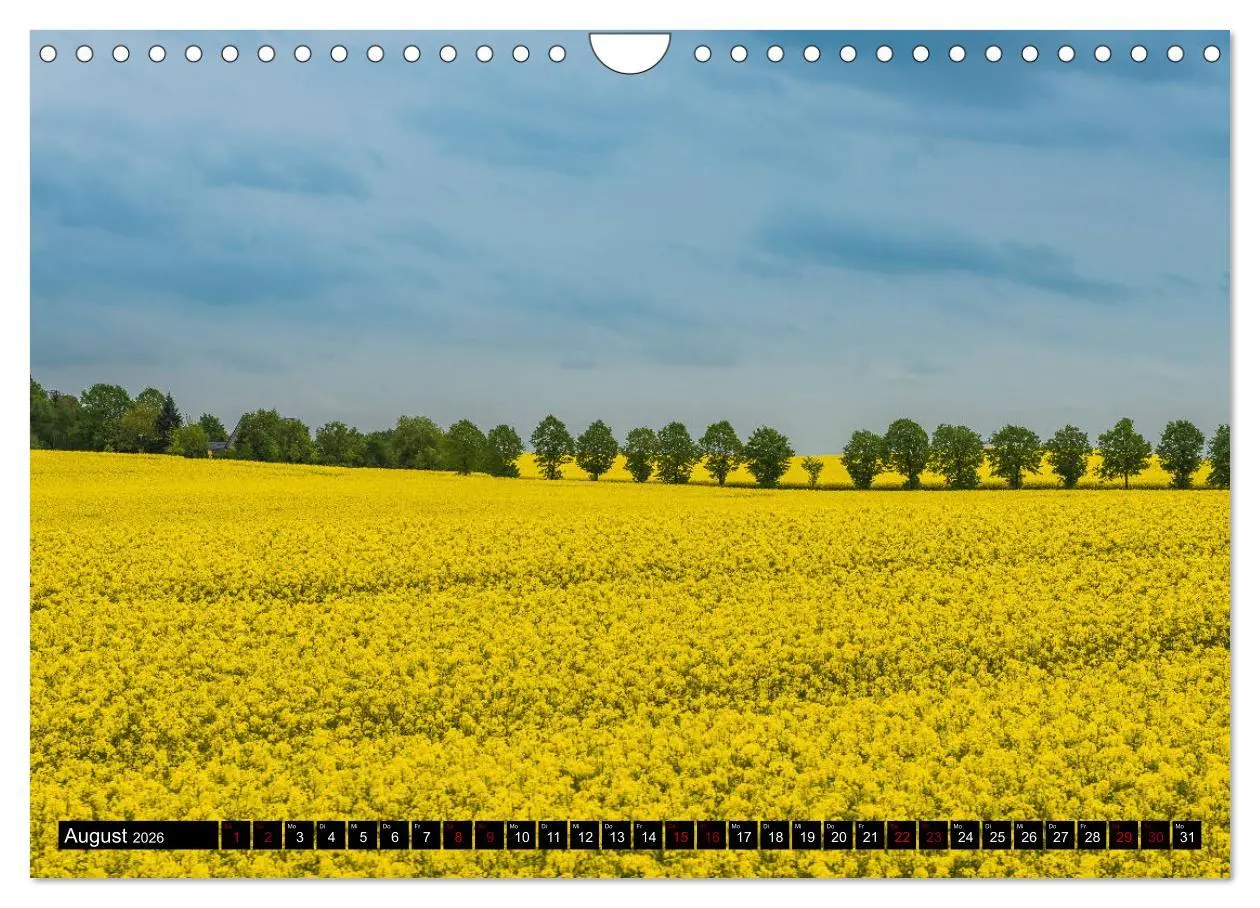 Bild: 9783457838532 | Ostsee - Boltenhagen (Wandkalender 2026 DIN A4 quer), CALVENDO...