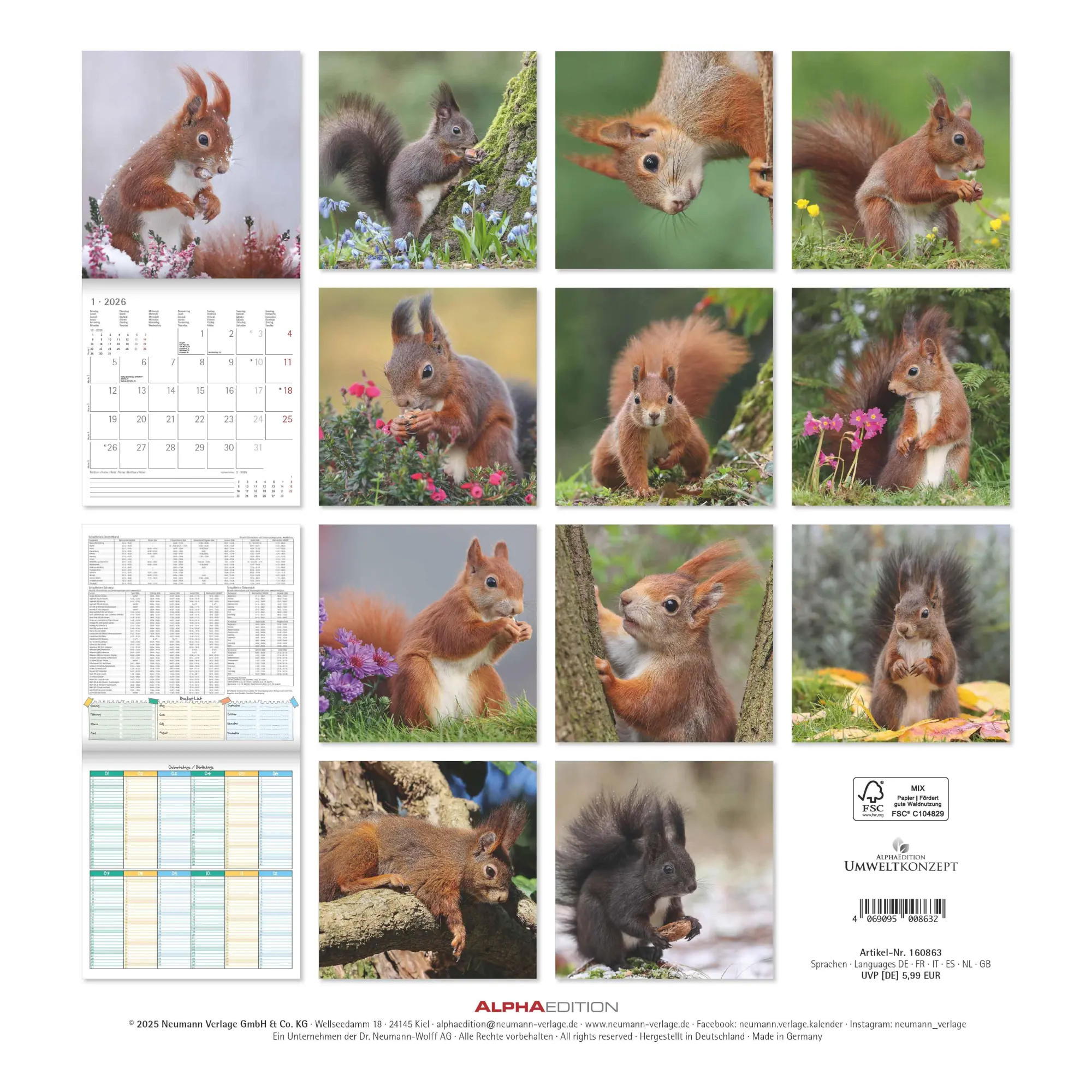 Rückseite: 4069095008632 | Eichörnchen - Broschürenkalender im Format 30 x 30 mit...