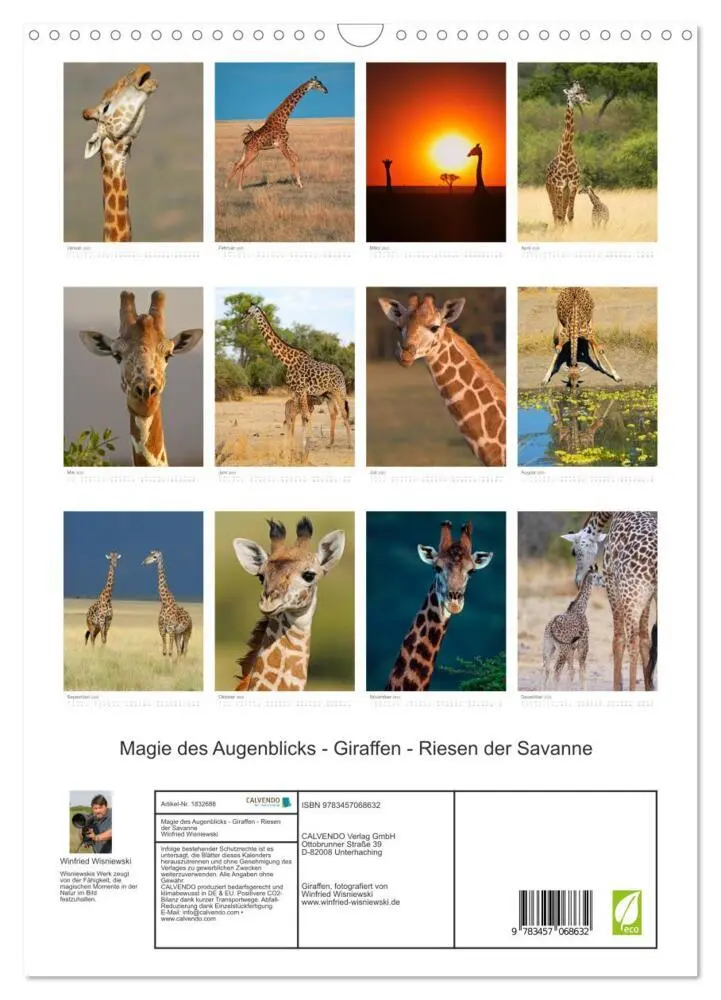 Bild: 9783457068632 | Magie des Augenblicks - Giraffen - Riesen der Savanne (Wandkalender...