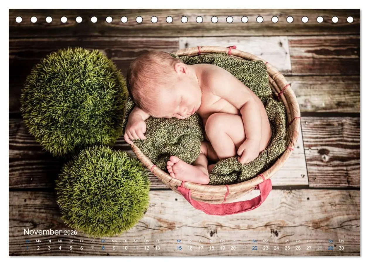 Bild: 9783516088632 | Baby - süße Träume (Tischkalender 2026 DIN A5 quer), CALVENDO...