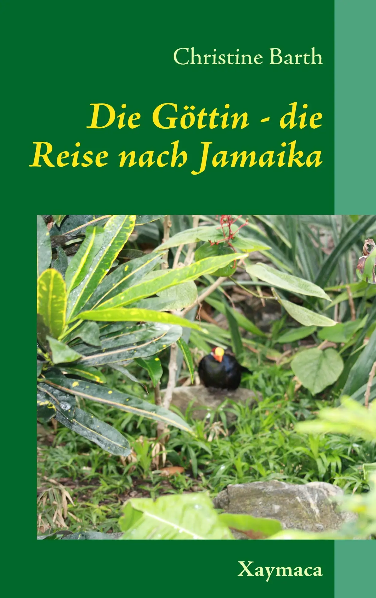 Die Göttin -: Die Reise nach Jamaika