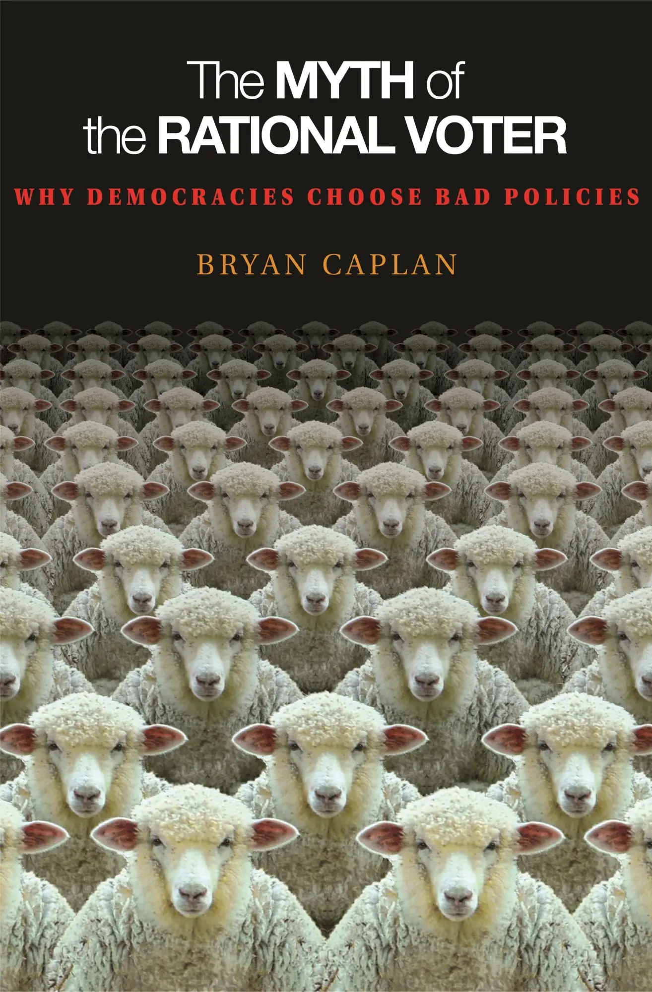Cover: 9780691138732 | The Myth of the Rational Voter | Bryan Caplan | Taschenbuch | Englisch