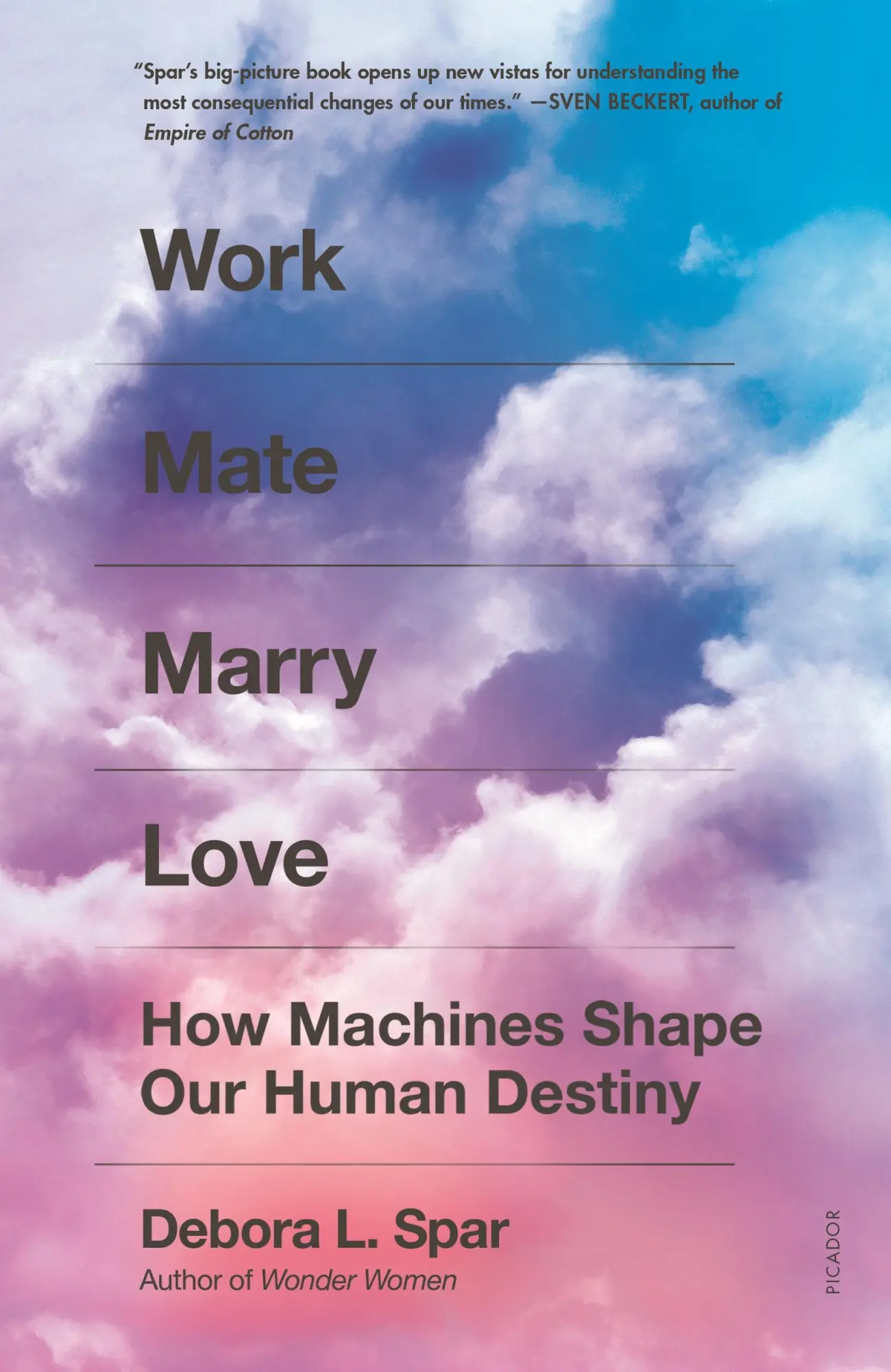 Cover: 9781250798732 | Work Mate Marry Love | How Machines Shape Our Human Destiny | Spar