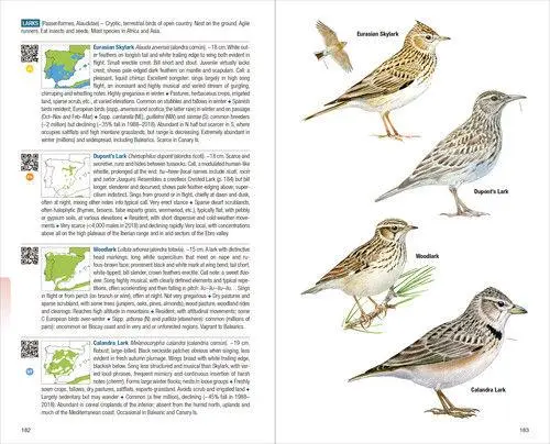 Bild: 9788416728732 | Birds of Spain | Taschenbuch | Englisch | Lynx Nature Books