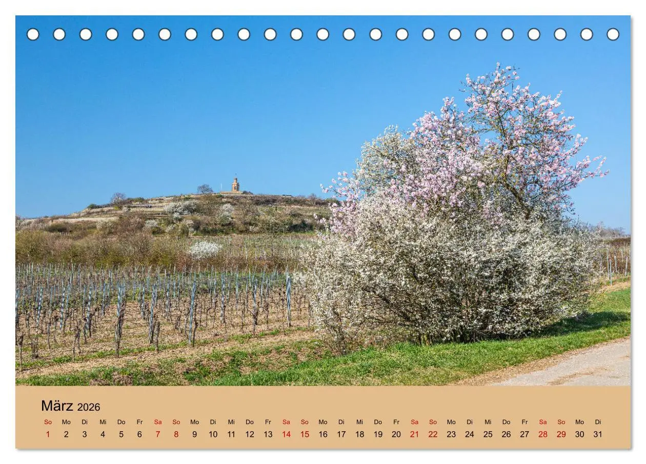 Bild: 9783457668832 | Bad Dürkheimer Ansichten (Tischkalender 2026 DIN A5 quer), CALVENDO...