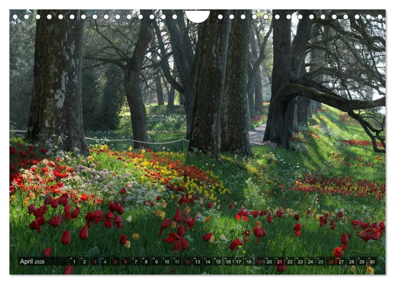 Bild: 9783516128932 | Zauberhafter Bodensee (Wandkalender 2026 DIN A4 quer), CALVENDO...