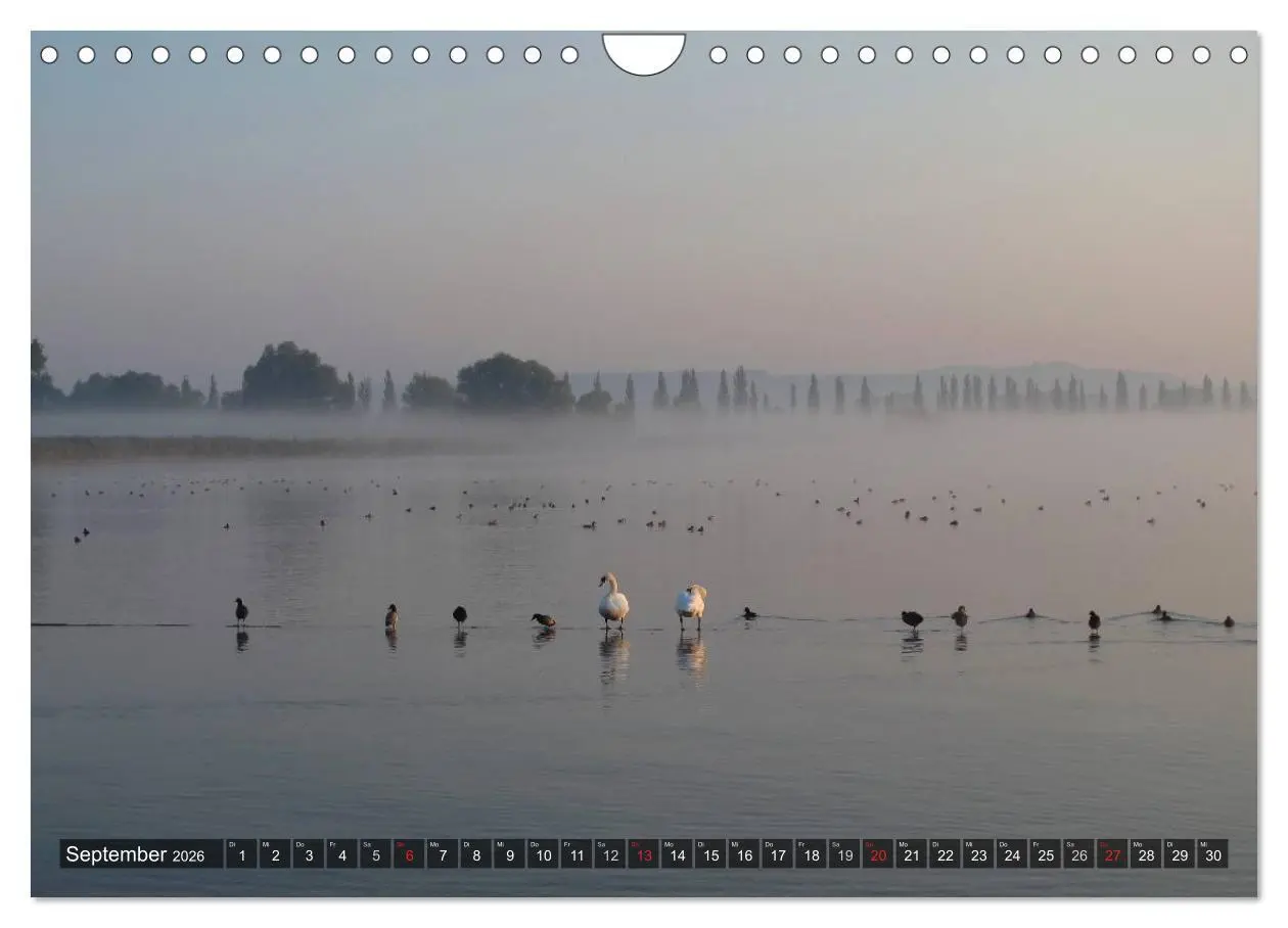 Bild: 9783516128932 | Zauberhafter Bodensee (Wandkalender 2026 DIN A4 quer), CALVENDO...