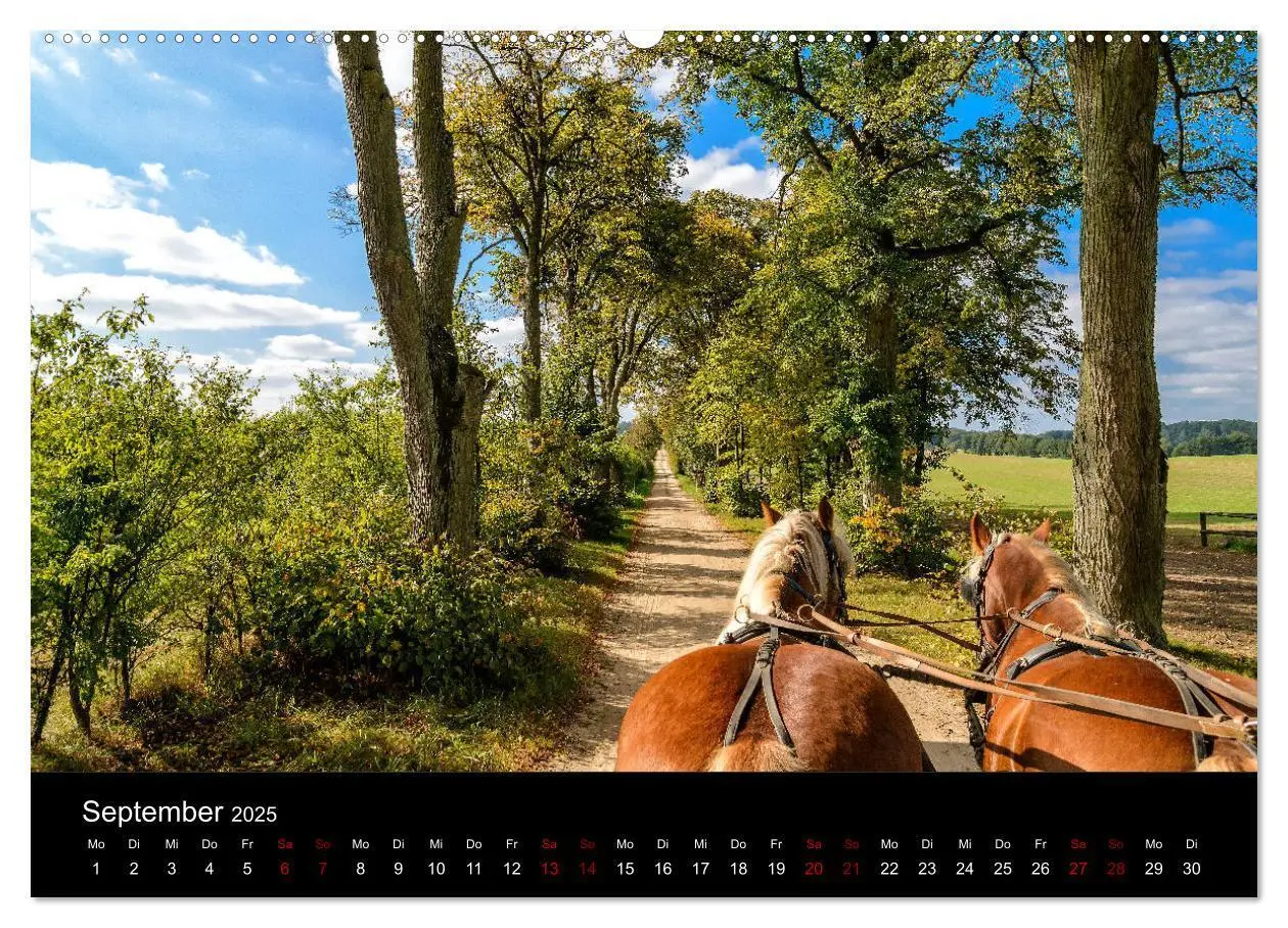 Bild: 9783435389032 | Polen - Reise durch unser schönes Nachbarland (Wandkalender 2025...