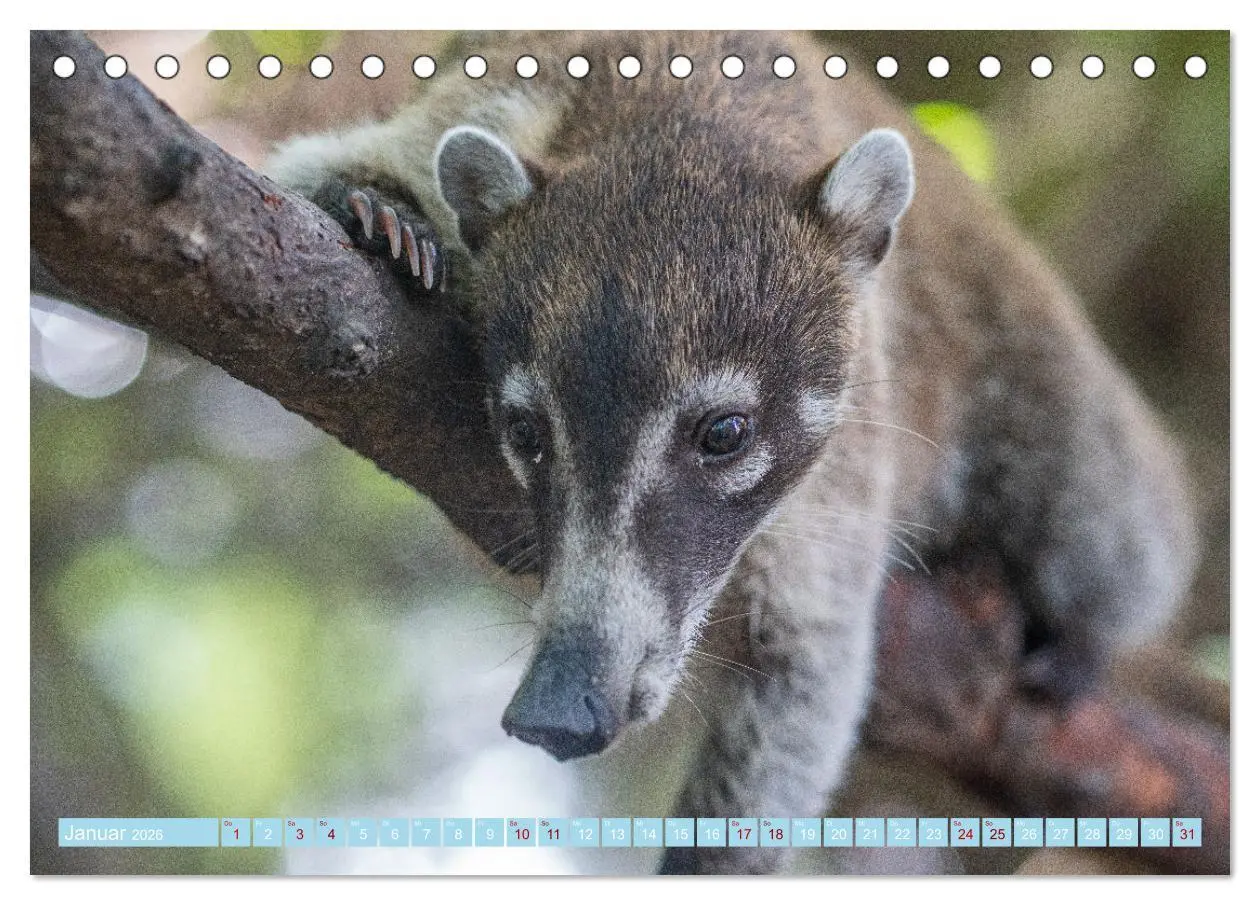 Bild: 9783457609132 | Mexiko - Die wunderschöne Halbinsel Yucatán Fotokalender 2026...