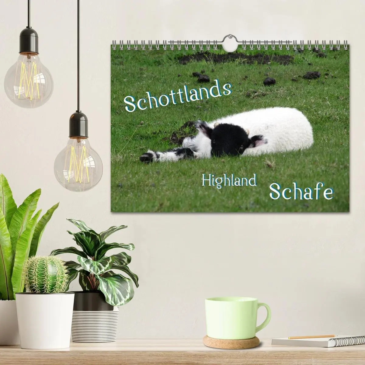 Bild: 9783516179132 | Schottlands Highland Schafe (Wandkalender 2026 DIN A4 quer),...