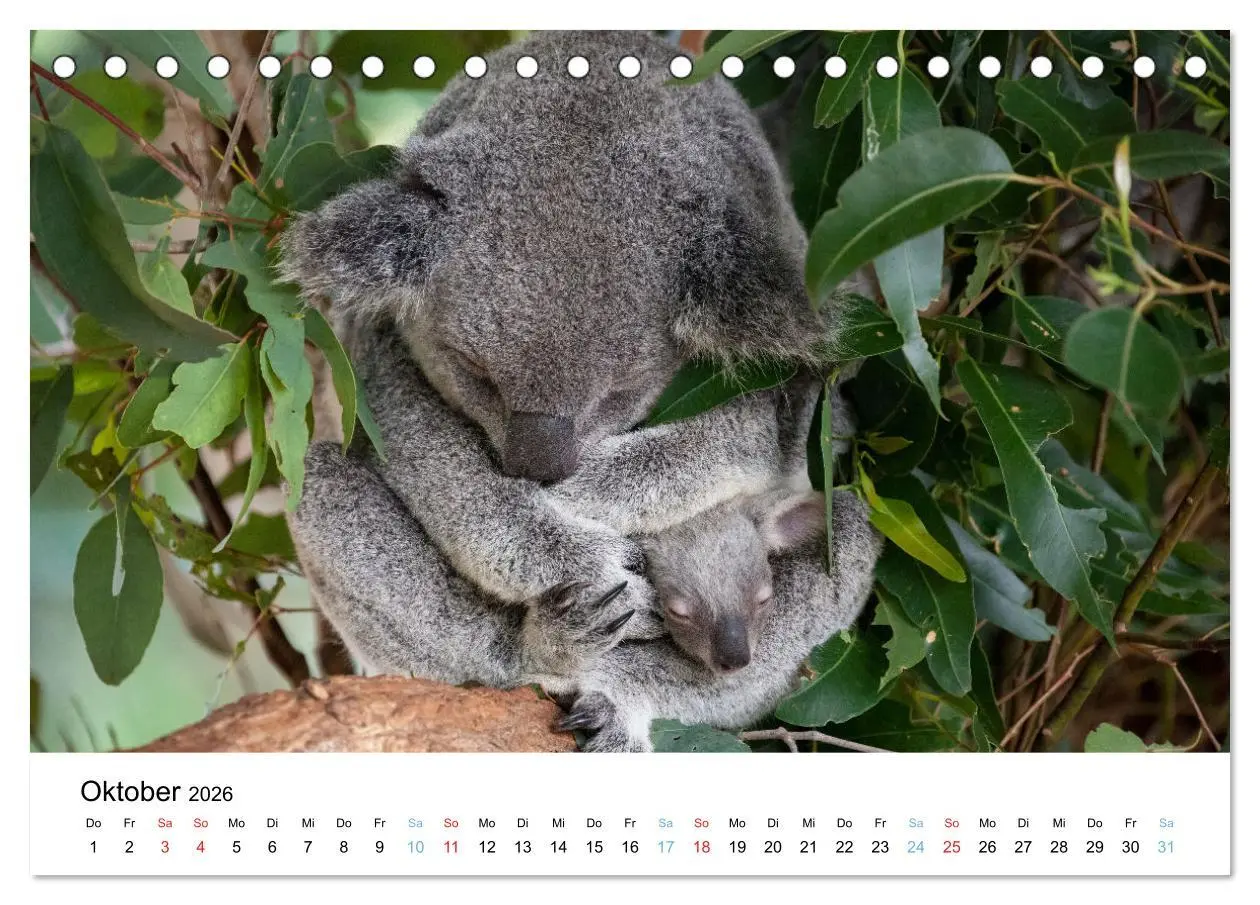 Bild: 9783516489132 | Australiens wunderbare Tiere (Tischkalender 2026 DIN A5 quer),...