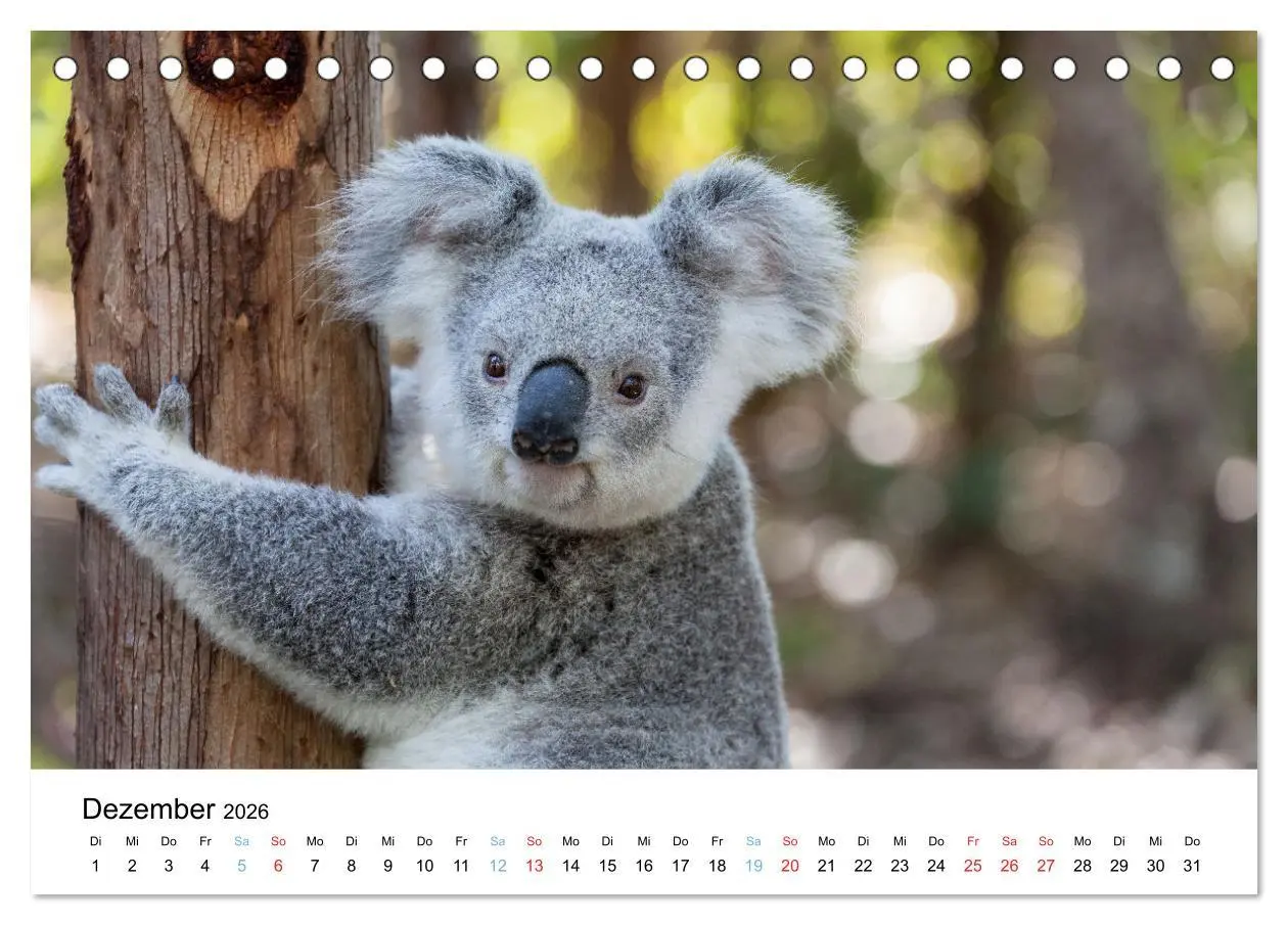 Bild: 9783516489132 | Australiens wunderbare Tiere (Tischkalender 2026 DIN A5 quer),...