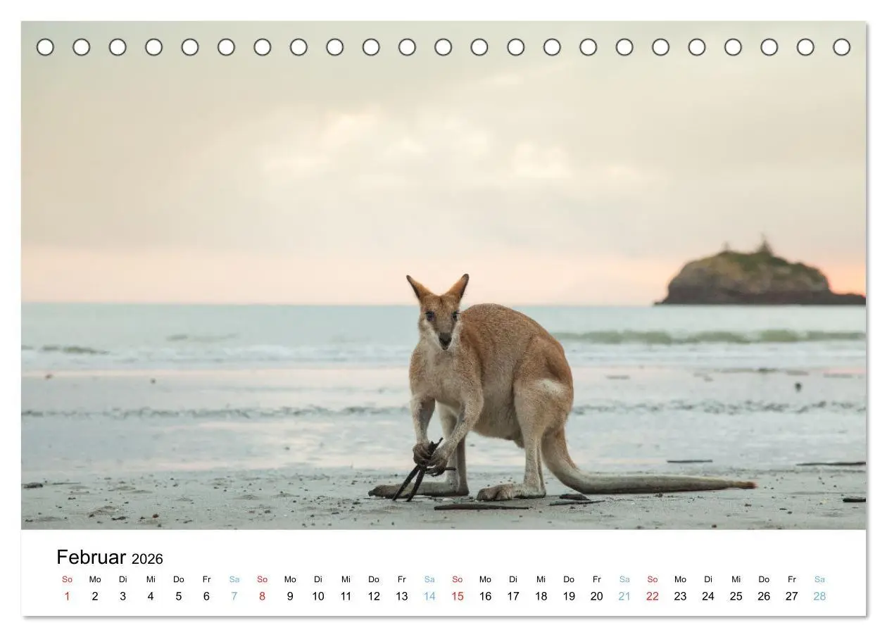 Bild: 9783516489132 | Australiens wunderbare Tiere (Tischkalender 2026 DIN A5 quer),...