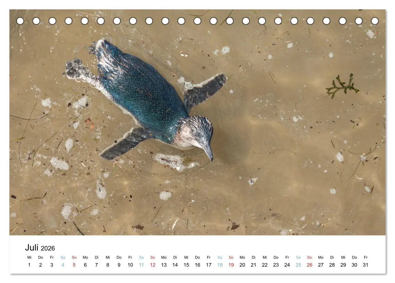 Bild: 9783516489132 | Australiens wunderbare Tiere (Tischkalender 2026 DIN A5 quer),...
