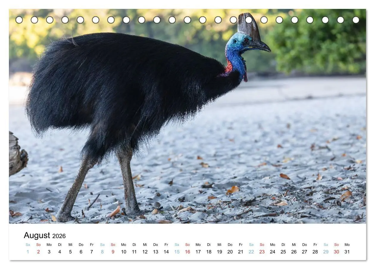 Bild: 9783516489132 | Australiens wunderbare Tiere (Tischkalender 2026 DIN A5 quer),...