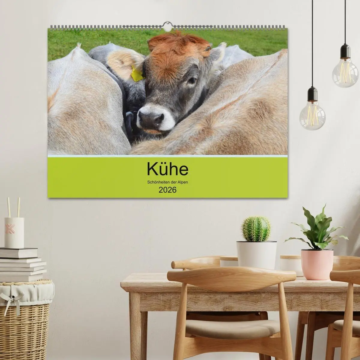 Bild: 9783516629132 | Kühe - Schönheiten der Alpen (Wandkalender 2026 DIN A2 quer),...