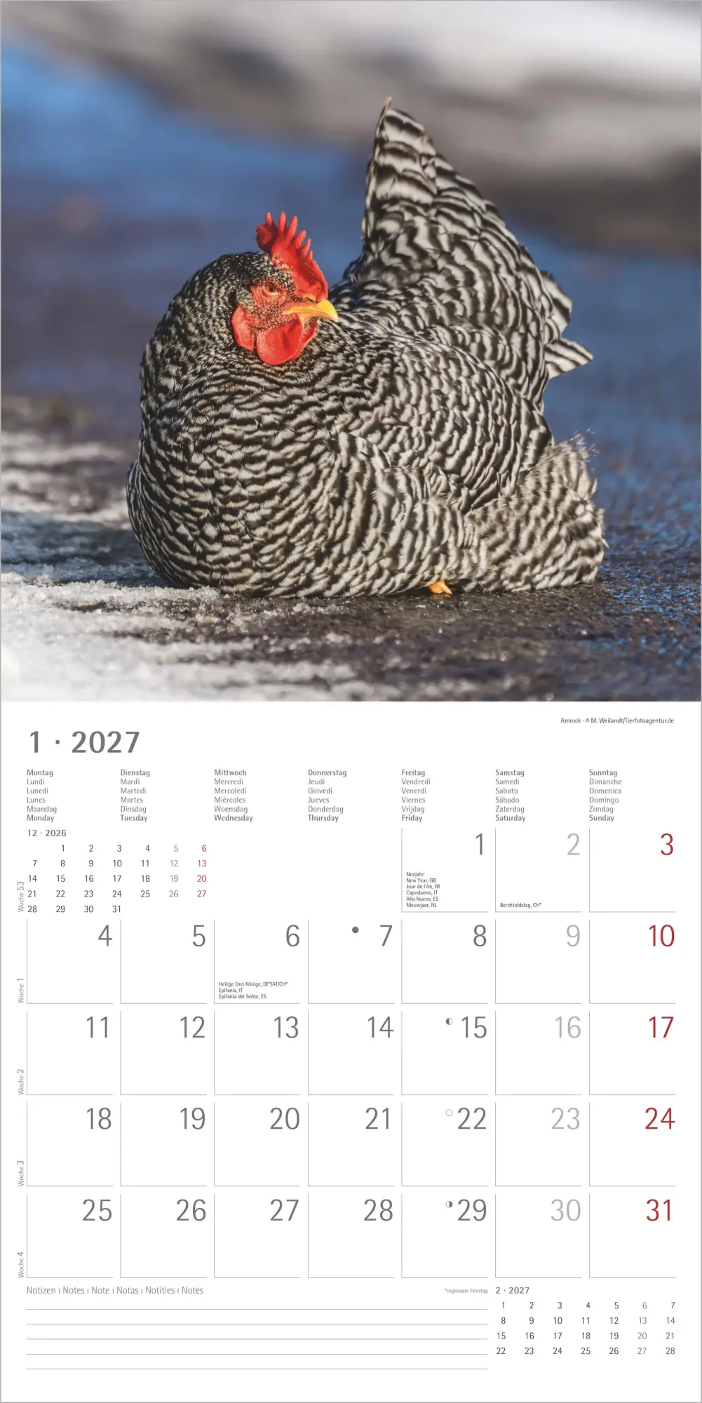 Bild: 4069095019232 | Hühner 2027 | Neumann Verlage GmbH &amp; Co KG | Kalender | 14 S. | 2027