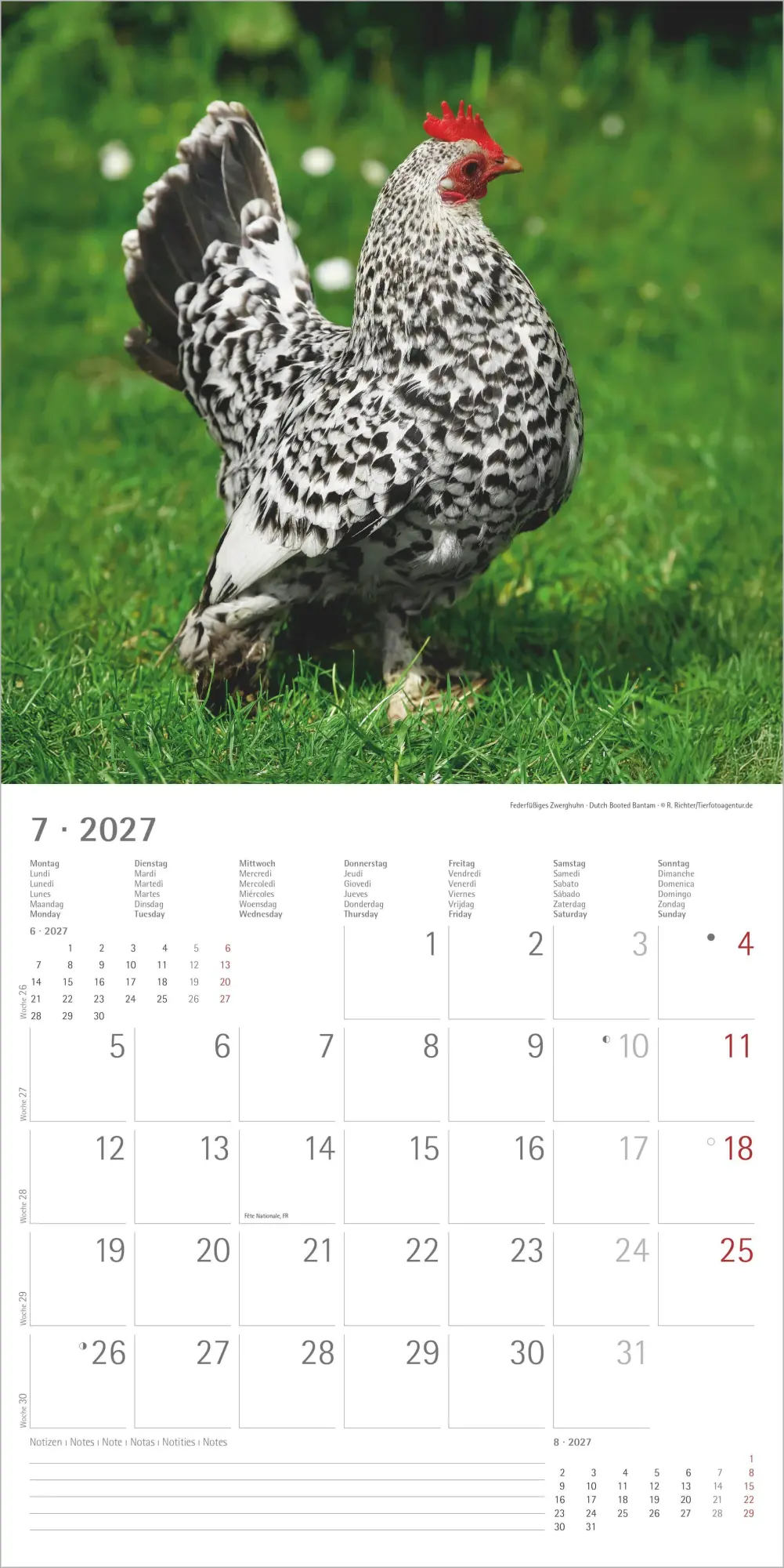 Bild: 4069095019232 | Hühner 2027 | Neumann Verlage GmbH &amp; Co KG | Kalender | 14 S. | 2027