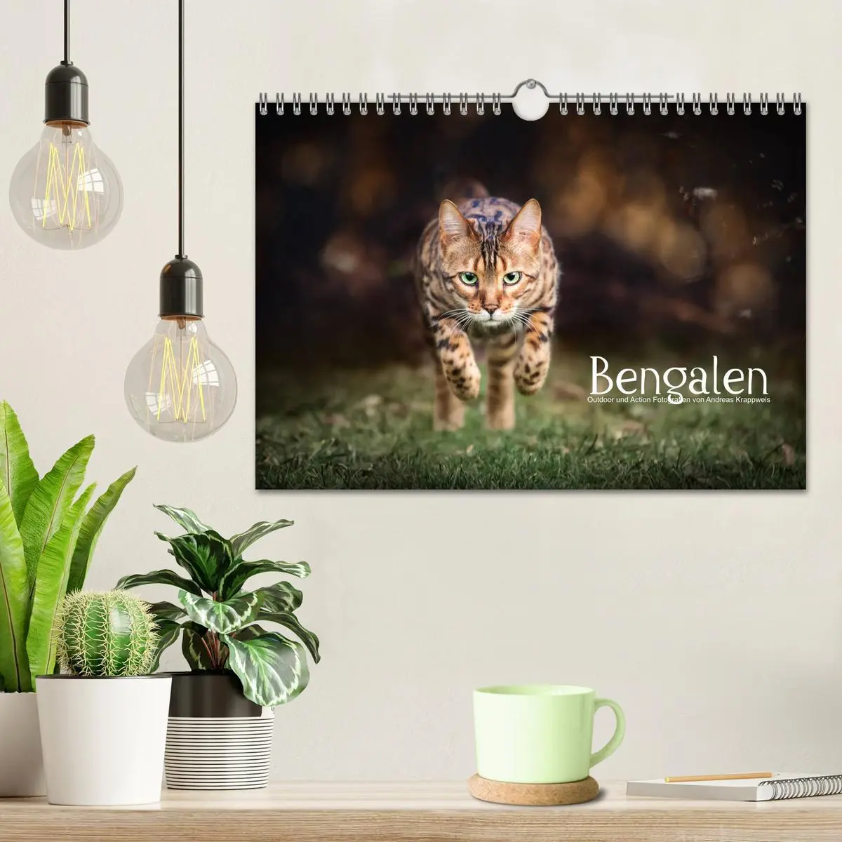 Bild: 9783457839232 | Bengalen Outdoor und Action (Wandkalender 2026 DIN A4 quer),...
