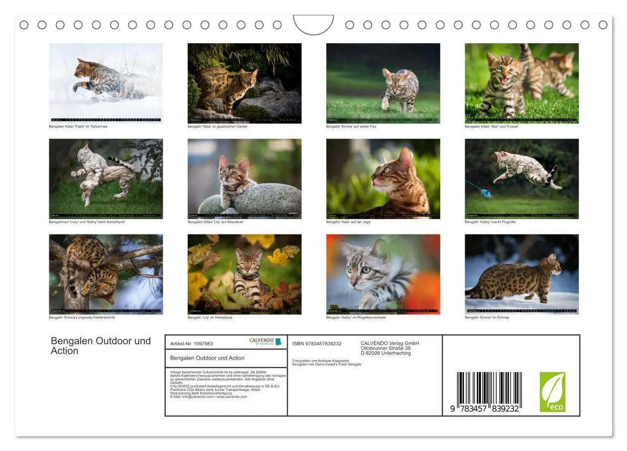 Bild: 9783457839232 | Bengalen Outdoor und Action (Wandkalender 2026 DIN A4 quer),...