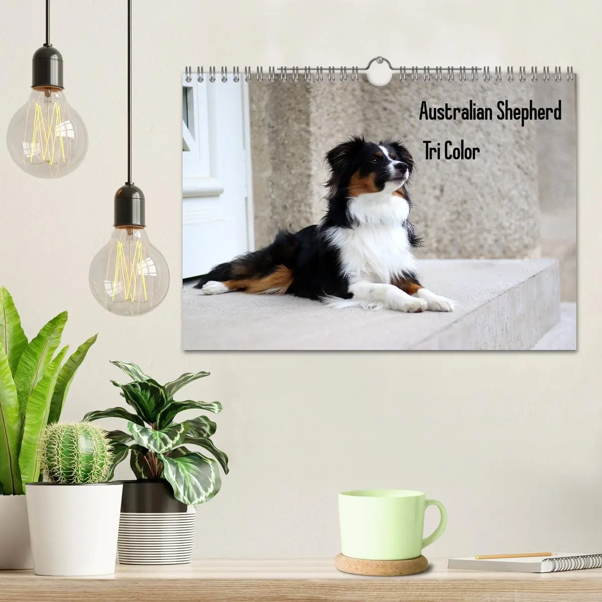 Bild: 9783457759332 | Australian Shepherd Tri Color (Wandkalender 2026 DIN A4 quer),...