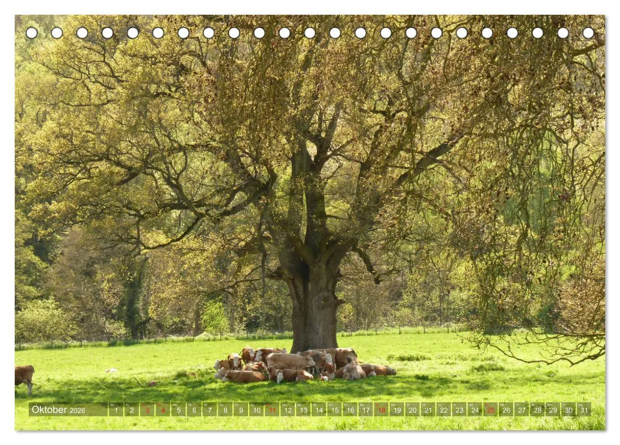 Bild: 9783457829332 | Malerische Cotswolds (Tischkalender 2026 DIN A5 quer), CALVENDO...