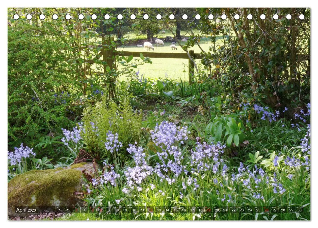 Bild: 9783457829332 | Malerische Cotswolds (Tischkalender 2026 DIN A5 quer), CALVENDO...