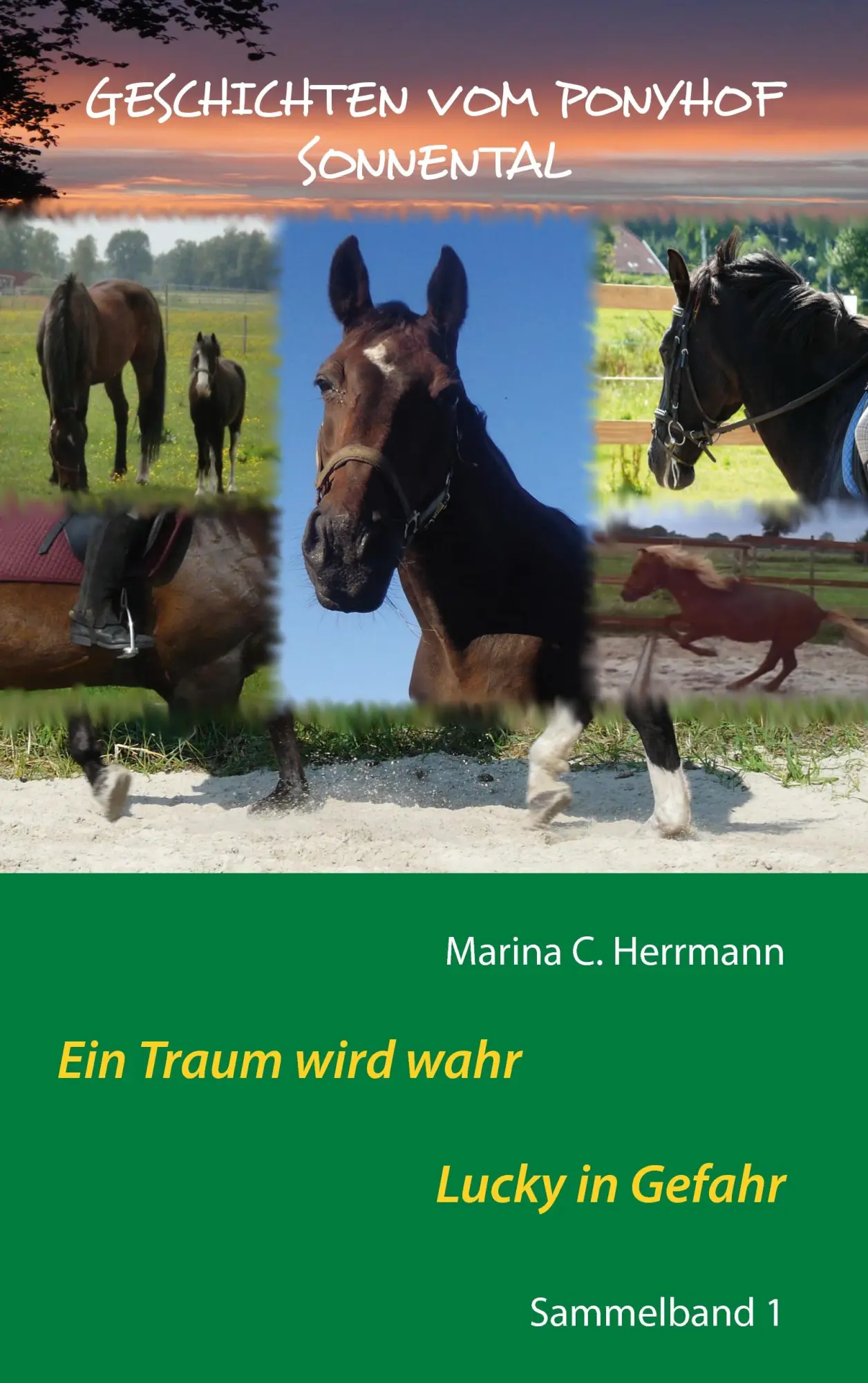 Cover: 9783740729332 | Geschichten vom Ponyhof Sonnental | Sammelband 1 | Marina C. Herrmann