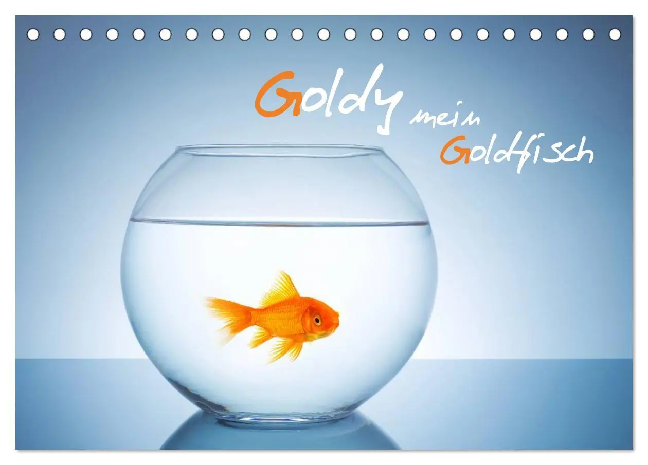 Cover: 9783457989432 | Goldy - mein Goldfisch (Tischkalender 2026 DIN A5 quer), CALVENDO...