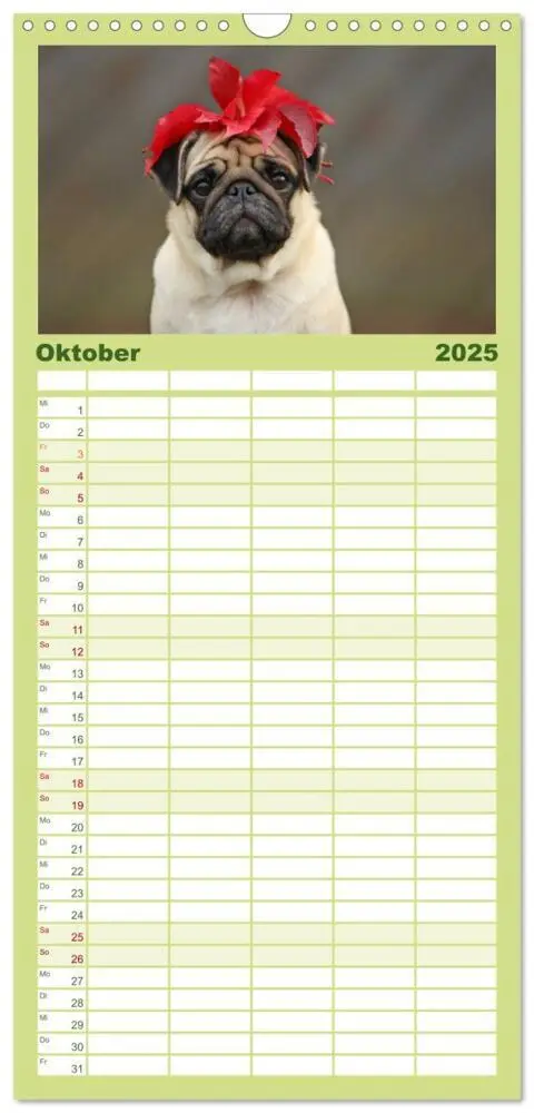 Bild: 9783457119532 | Familienplaner 2025 - Der Feldfurchen-Mops mit 5 Spalten...