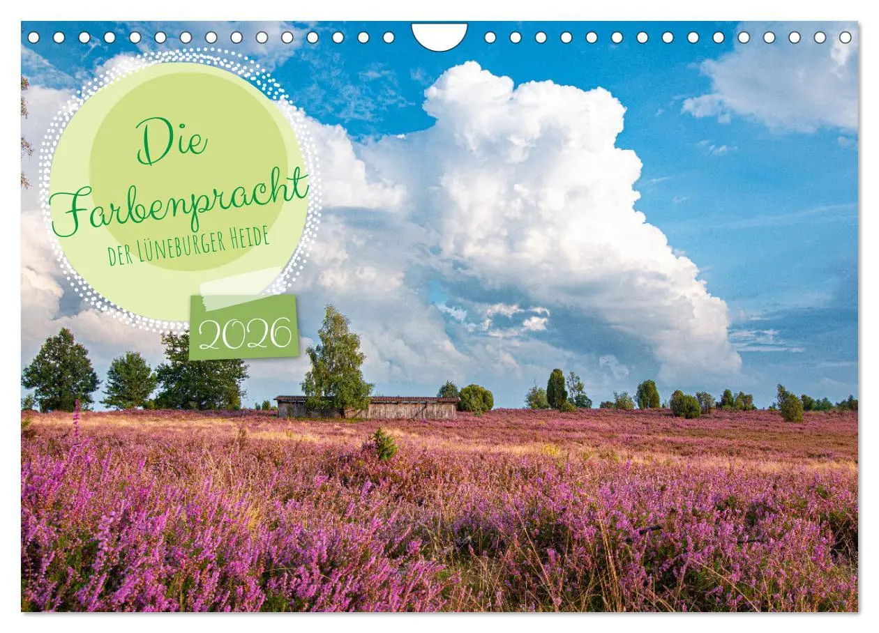 Cover: 9783457599532 | Die Farbenpracht der Lüneburger Heide (Wandkalender 2026 DIN A4...