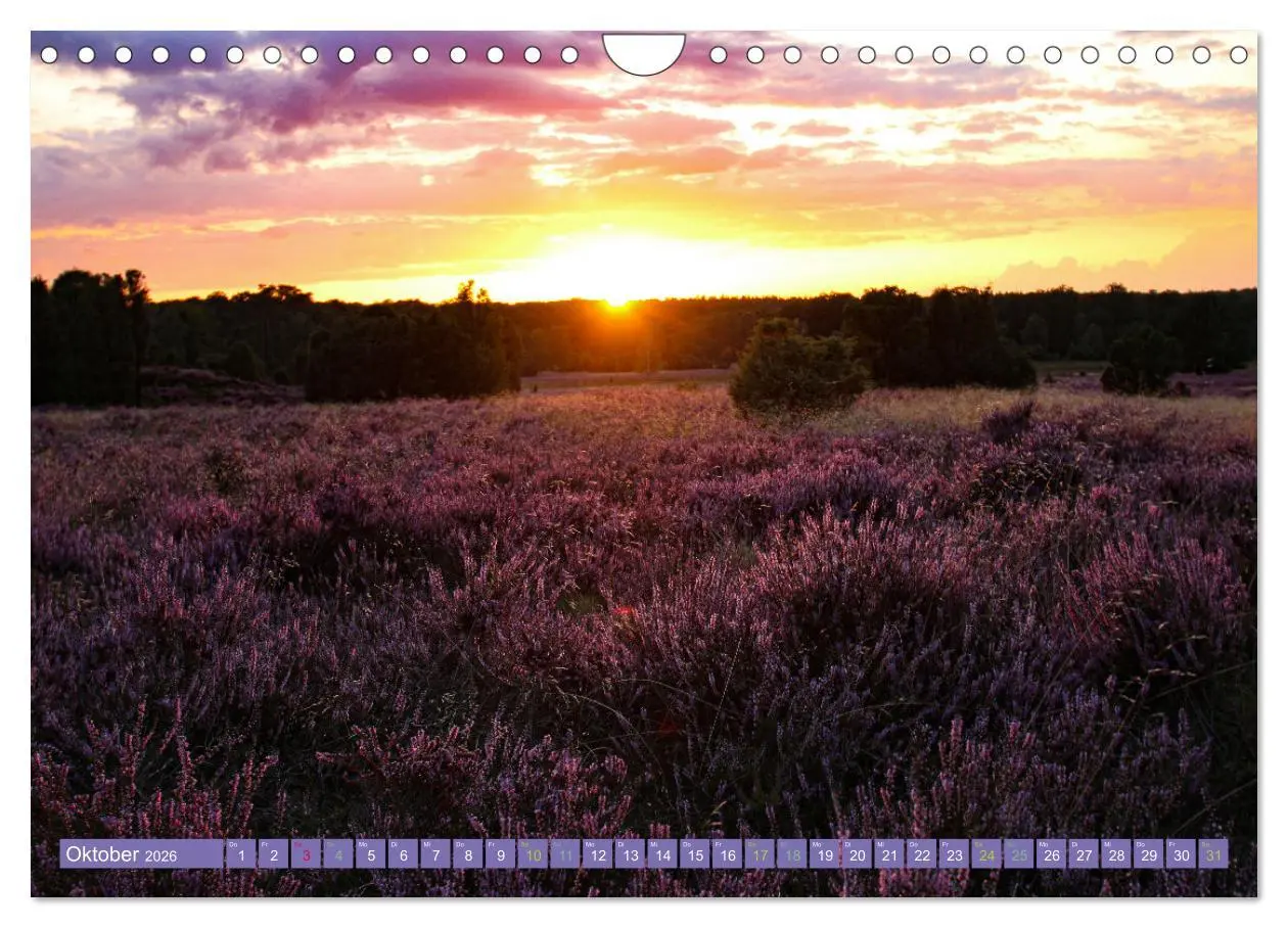Bild: 9783457599532 | Die Farbenpracht der Lüneburger Heide (Wandkalender 2026 DIN A4...