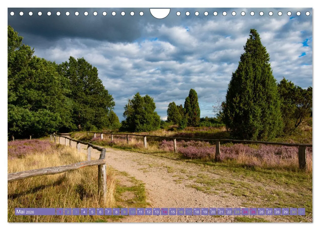 Bild: 9783457599532 | Die Farbenpracht der Lüneburger Heide (Wandkalender 2026 DIN A4...