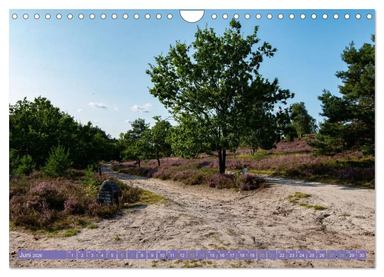 Bild: 9783457599532 | Die Farbenpracht der Lüneburger Heide (Wandkalender 2026 DIN A4...