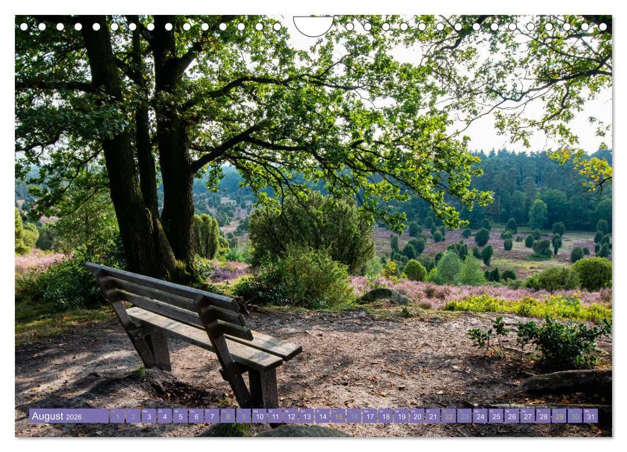 Bild: 9783457599532 | Die Farbenpracht der Lüneburger Heide (Wandkalender 2026 DIN A4...