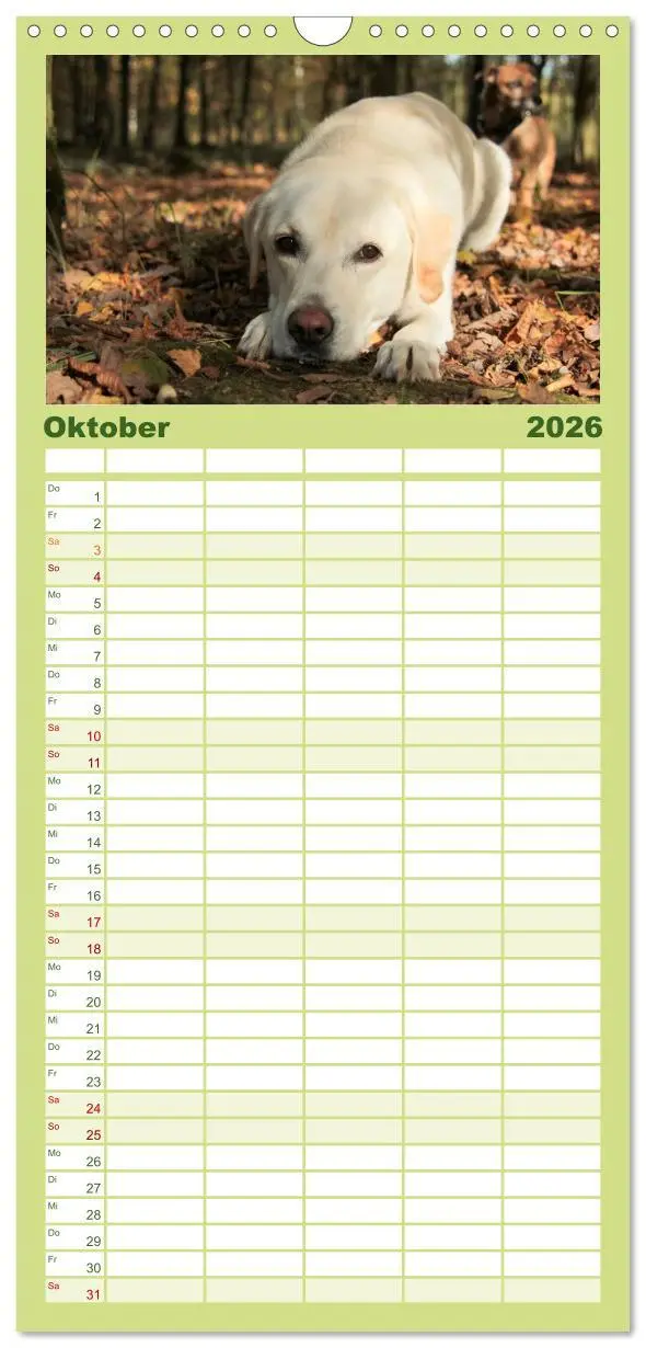 Bild: 9783516519532 | Familienplaner 2026 - Labrador Retriever 2026 mit 5 Spalten...