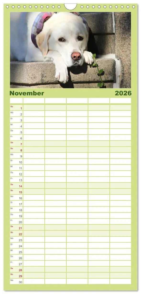 Bild: 9783516519532 | Familienplaner 2026 - Labrador Retriever 2026 mit 5 Spalten...