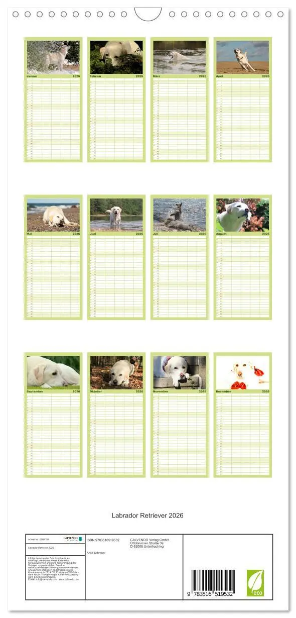 Bild: 9783516519532 | Familienplaner 2026 - Labrador Retriever 2026 mit 5 Spalten...
