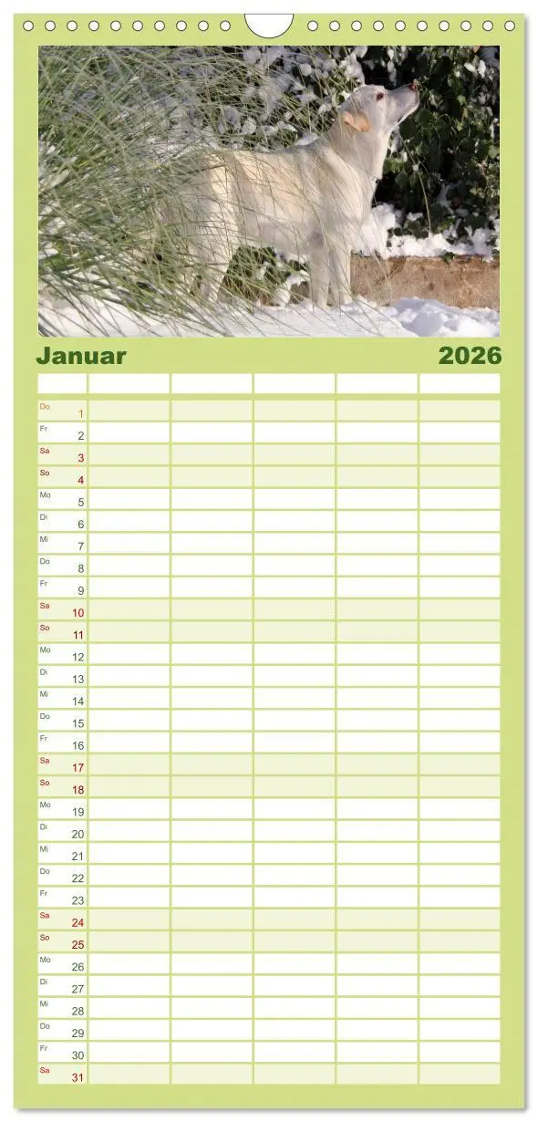 Bild: 9783516519532 | Familienplaner 2026 - Labrador Retriever 2026 mit 5 Spalten...