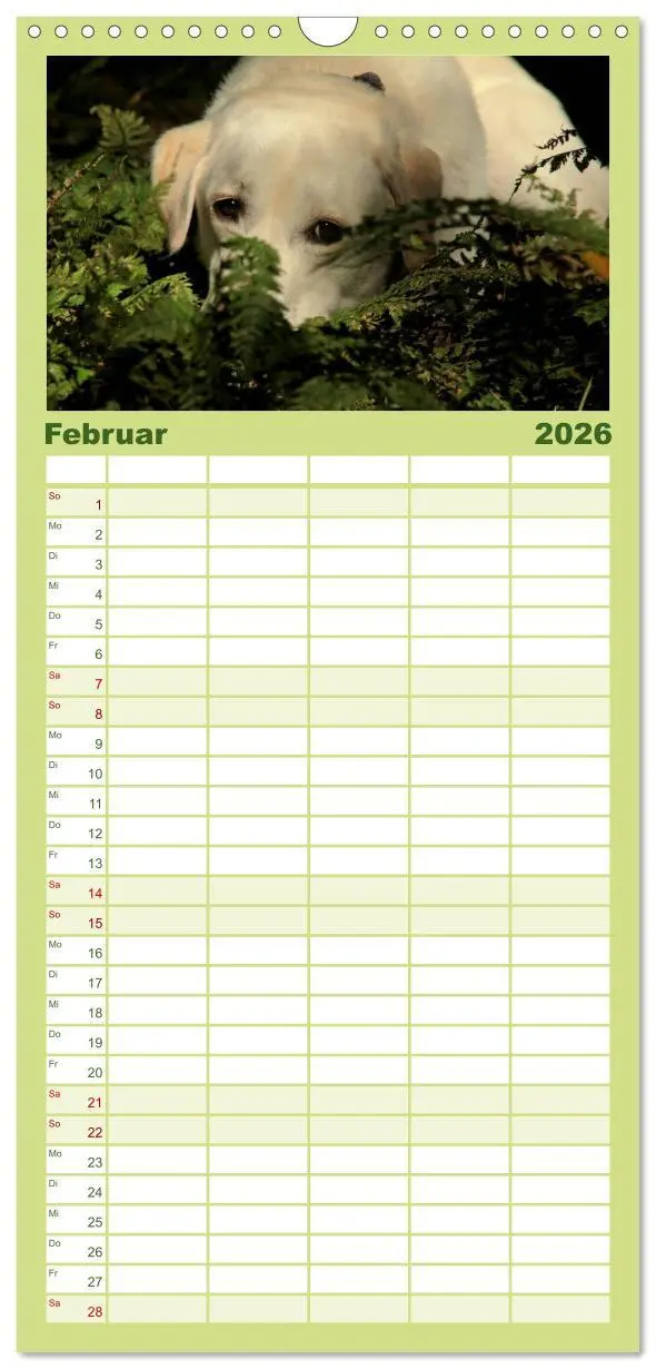 Bild: 9783516519532 | Familienplaner 2026 - Labrador Retriever 2026 mit 5 Spalten...