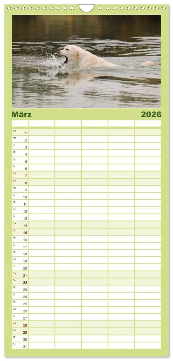 Bild: 9783516519532 | Familienplaner 2026 - Labrador Retriever 2026 mit 5 Spalten...