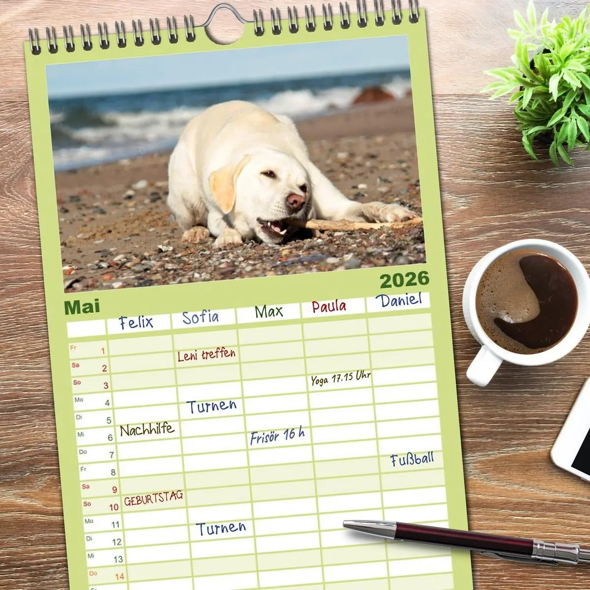 Bild: 9783516519532 | Familienplaner 2026 - Labrador Retriever 2026 mit 5 Spalten...
