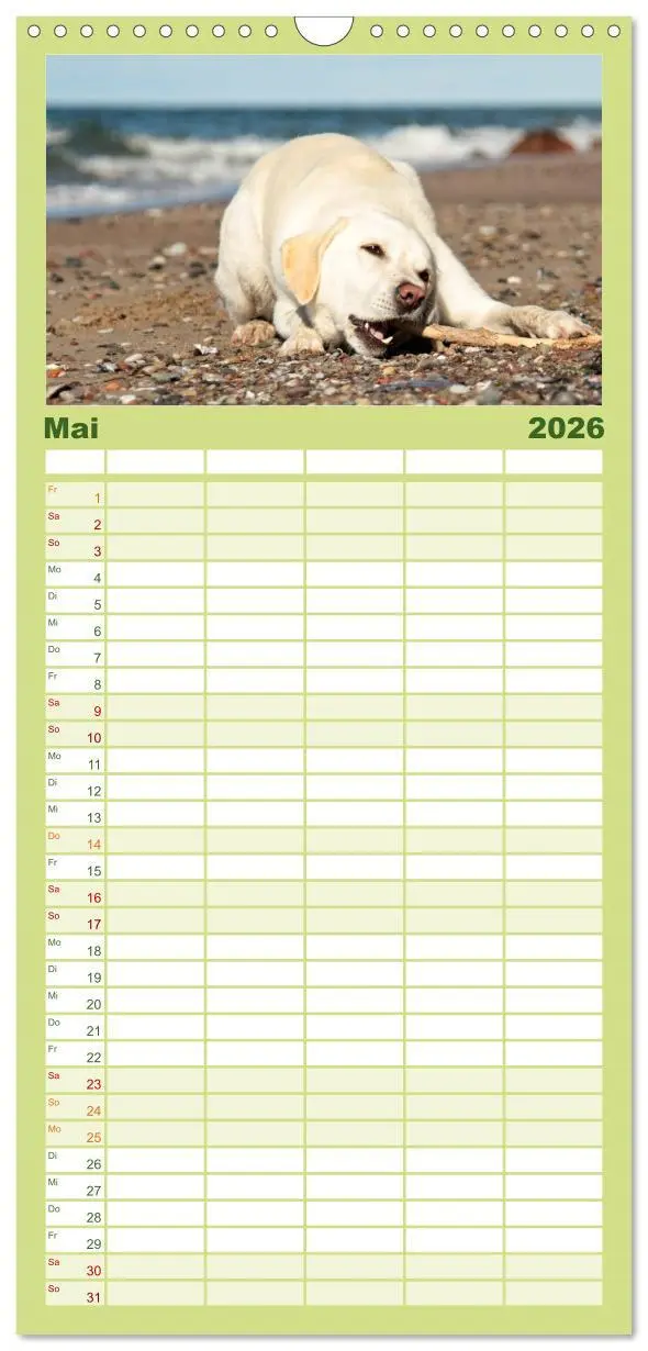 Bild: 9783516519532 | Familienplaner 2026 - Labrador Retriever 2026 mit 5 Spalten...
