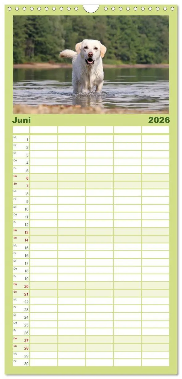 Bild: 9783516519532 | Familienplaner 2026 - Labrador Retriever 2026 mit 5 Spalten...