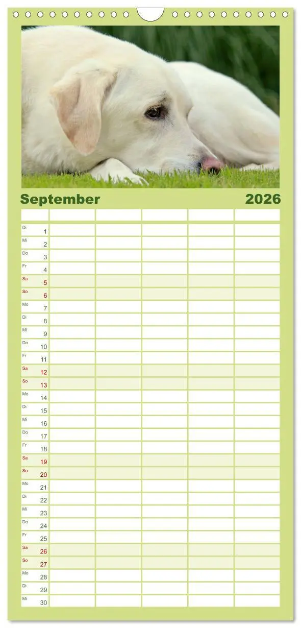 Bild: 9783516519532 | Familienplaner 2026 - Labrador Retriever 2026 mit 5 Spalten...