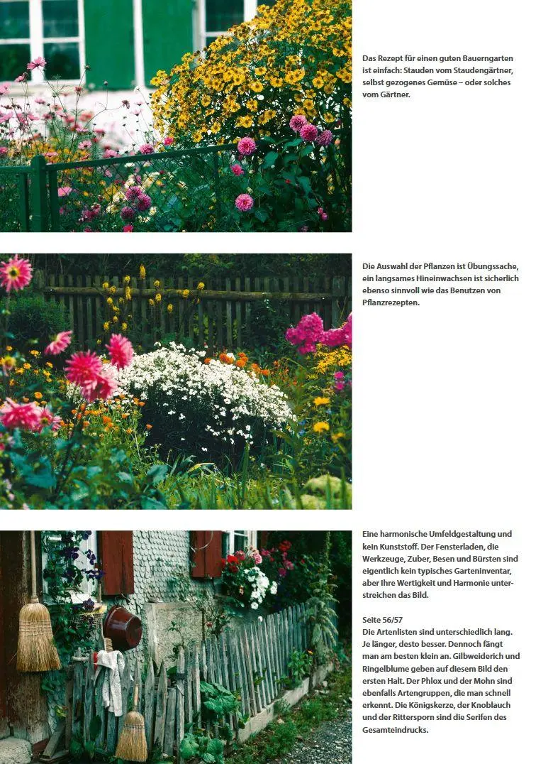 Bild: 9783702019532 | Bauerngärten | Glücksorte - biodivers und ertragreich | Buch | 200 S.