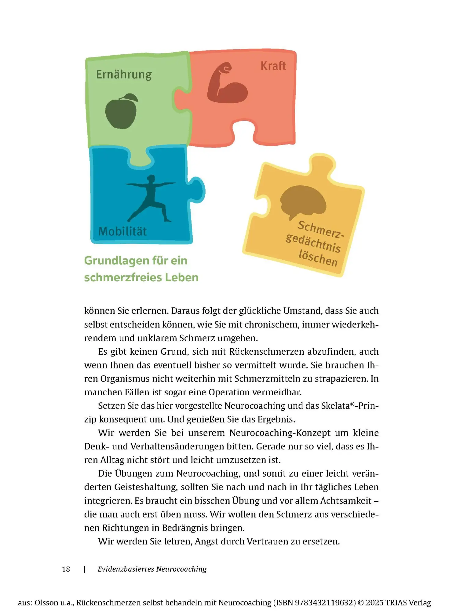 Bild: 9783432119632 | Rückenschmerzen selbst behandeln mit Neurocoaching | Olsson (u. a.)