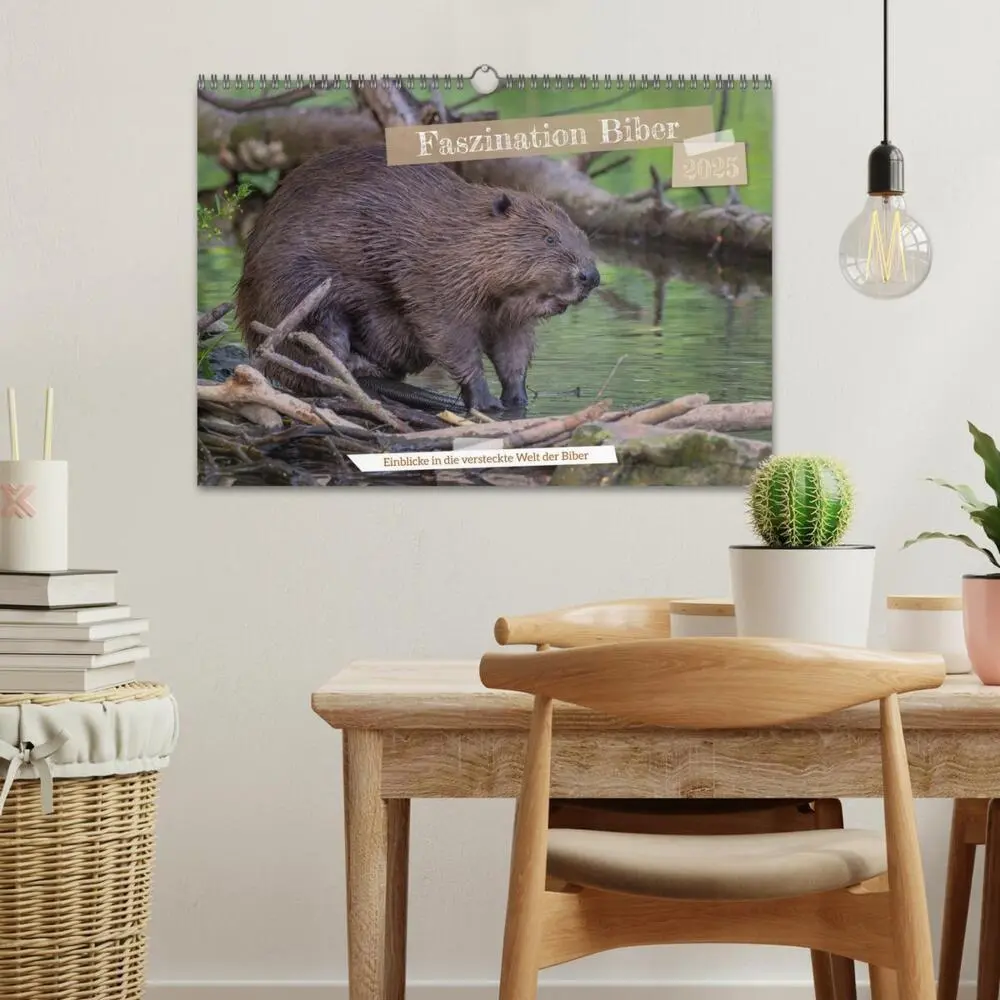 Bild: 9783435019632 | Faszination Biber (Wandkalender 2025 DIN A3 quer), CALVENDO...
